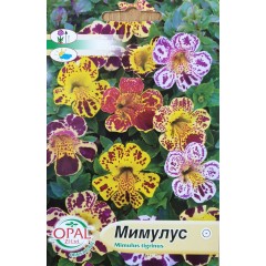 Мимулус Mimulus tigrinus