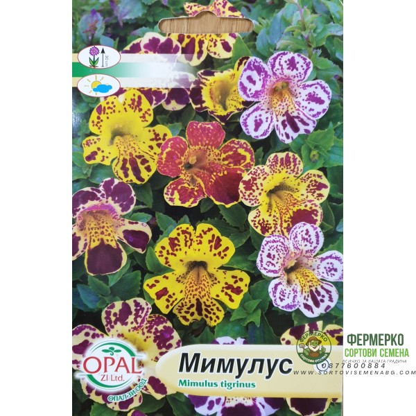 Мимулус Mimulus tigrinus