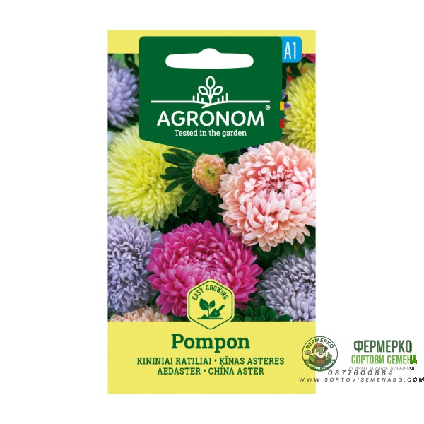 Астри Помпон микс (Божурена)