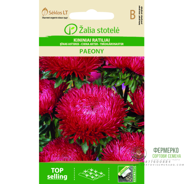 Астри Червени Паеони Callistephus chinensis L Ness Paeony
