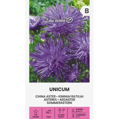 Астри Лилави Уникум / Callistephus chinensis (L.) Ness