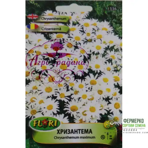 Семена за бяла Хризантема