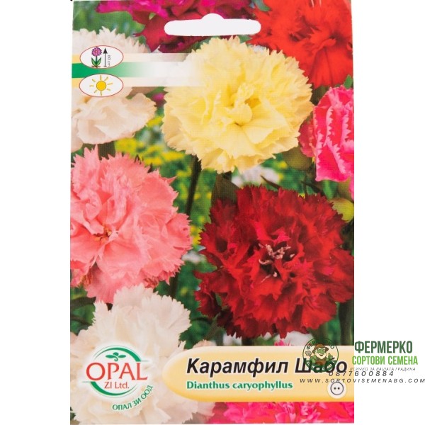 Карамфил шабо