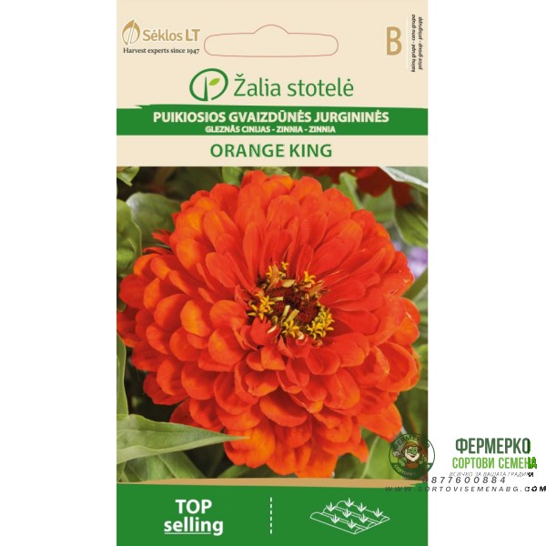 Циния оранжева Orange King Zinnia elegans dahlienflora