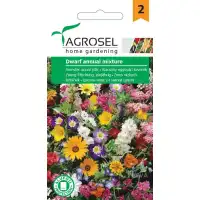 Цветен микс от ниски цветя / Dwarf annual mixture