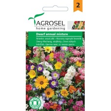 Цветен микс от ниски цветя Dwarf annual mixture