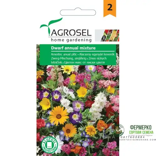 Цветен микс от ниски цветя / Dwarf annual mixture