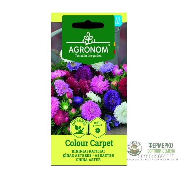 Астри Мини Микс Цветен Килим Callistephus chinensis L Ness Colour Carpet Астри Мини Микс Цветен Килим Callistephus chinensis L Ness Colour Carpet