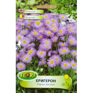 Семена от Еригерон / Erigeron speciosus