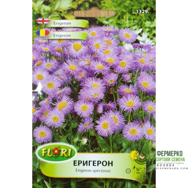 Семена от Еригерон Erigeron speciosus