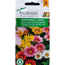 Газания Микс Gazania rigens (L) Gaertn