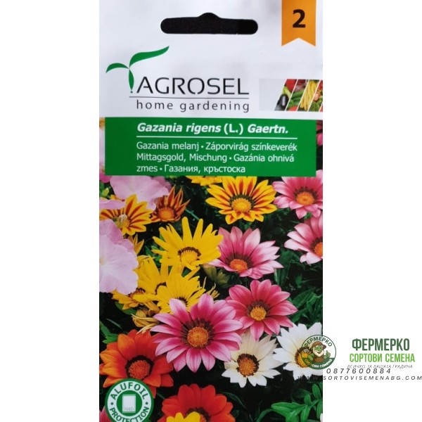 Газания Микс Gazania rigens (L) Gaertn