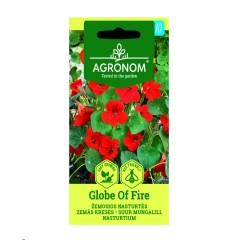 Цветя латинка ниска Червена Globe of Fire