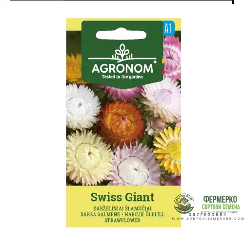 Хелихризум / Helichrysum Swiss Giant