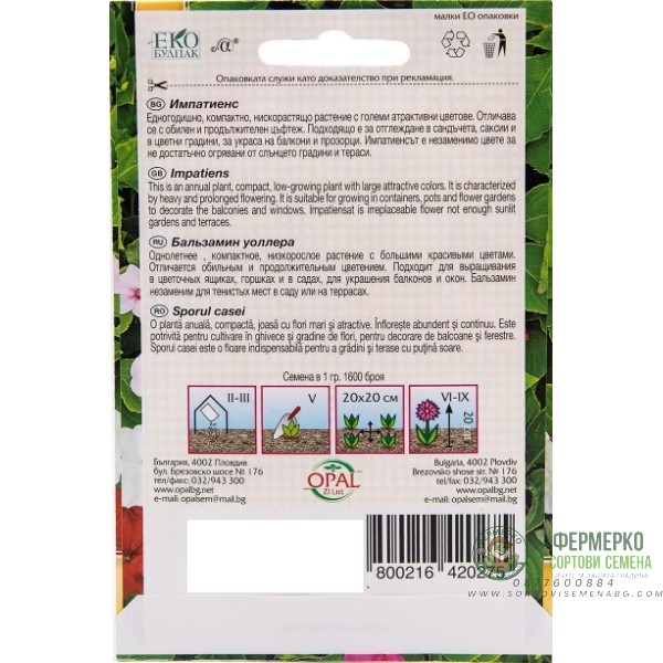 Семена за Импатиенс, Циганче