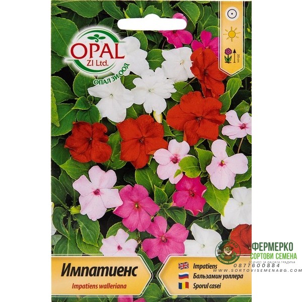 Семена за Импатиенс, Циганче