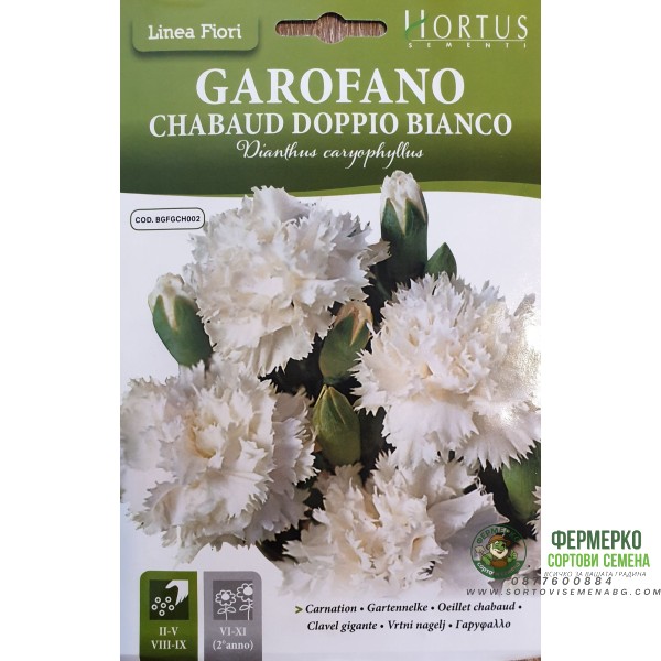 Карамфил Шабо Бял Chabaud Doppio Bianco