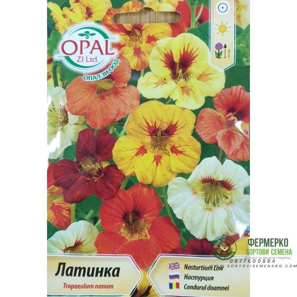 Латинка ниска микс