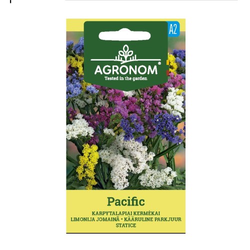 Лимониум / Limonium Pacific
