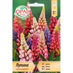 Лупина микс Lupinus poliphyllus