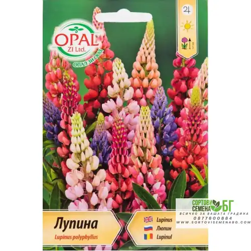Лупина микс / Lupinus poliphyllus Лупина микс / Lupinus poliphyllus