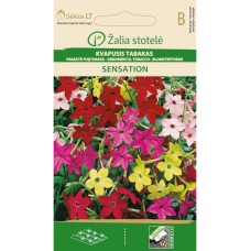 Никотиана (Тютюнево цвете) Микс Sensation Nicotiana alata Link et Otto