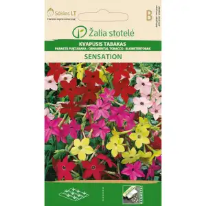 Никотиана (Тютюнево цвете) Микс Sensation/ Nicotiana alata Link et Otto