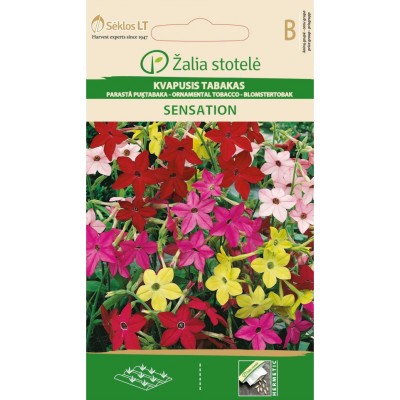 Никотиана (Тютюнево цвете) Микс Sensation/ Nicotiana alata Link et Otto
