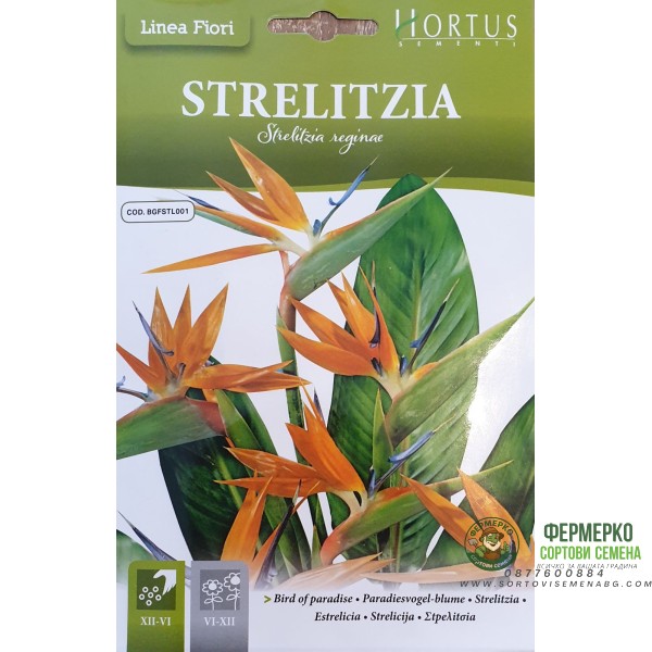 Стрелиция (Райска птица) Strelitzia reginae