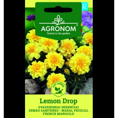 Тагетес Лимон / Tagetes Lemon Drop