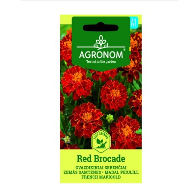 Тагетес червен / Red Brocade