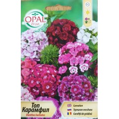 Топ Карамфил микс