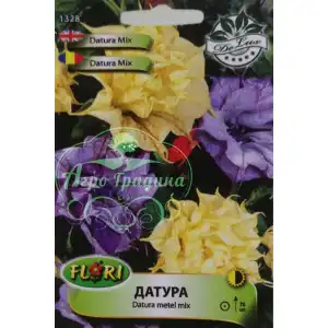 Пеларгониум (Сакъзче) микс за балкон / Pelargonium peltatum mix