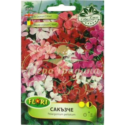 Пеларгониум (Сакъзче) микс за балкон / Pelargonium peltatum mix