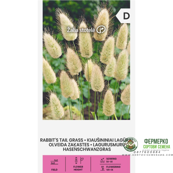 Декоративна трева Заешка опашка Lagurus ovatus L.
