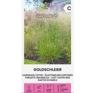 Декоративна трева Goldschleier / Deschampsia caespitos