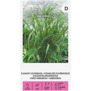 Декоративна трева Elegant Lovegrass / Eragrostis Elegants