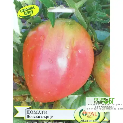 Домати Волско сърце Домати Волско сърце