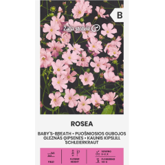 Гипсофила Розеа Gypsophila elegans M. Bieb.