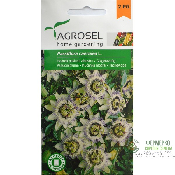 Пасифлора Passiflora caerulea L