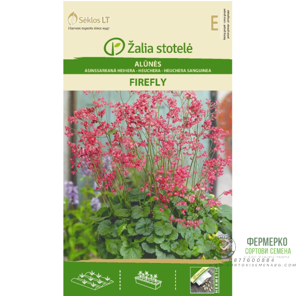 Хойхера Firefly Heuchera sanguinea