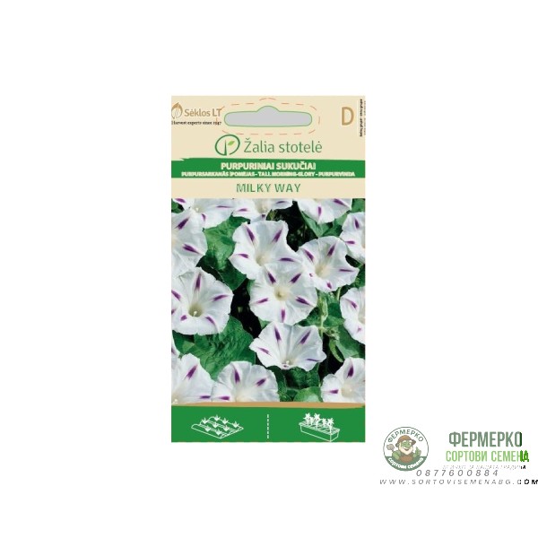 Ипомея (Грамофонче) Млечен път Ipomea Purpurea (L.) Roth Milky way