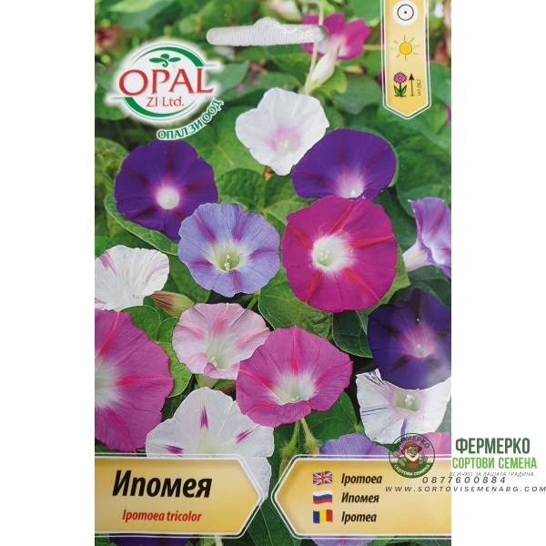 Ипомея микс