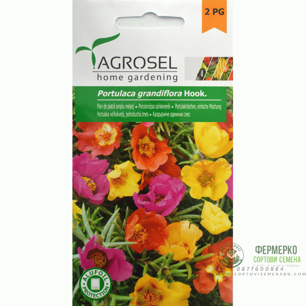 Калдаръмче Микс Portulaca grandiflora Hook Калдаръмче Микс Portulaca grandiflora Hook