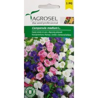 Кампанула Микс Campanula medium