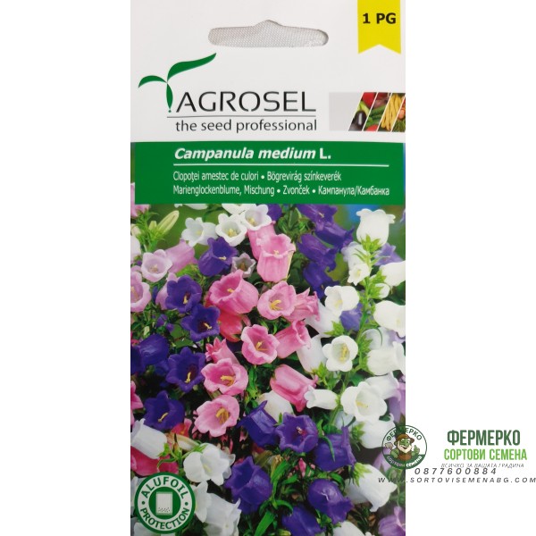 Кампанула Микс Campanula medium