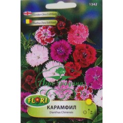 Карамфил мини Чайна Дол