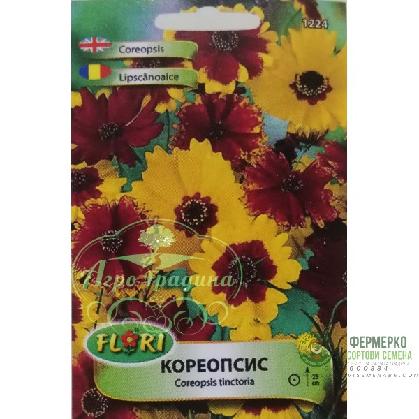 Кореопсис (Жълтичка)