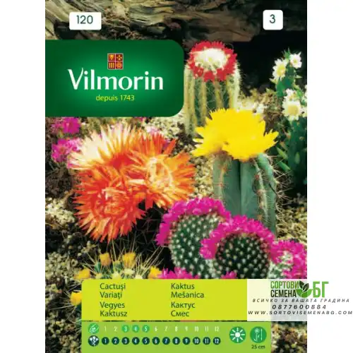 Семена за Кактус смес Семена за Кактус смес