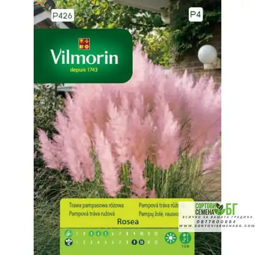 Пампаска трева (розова) - кортадерия